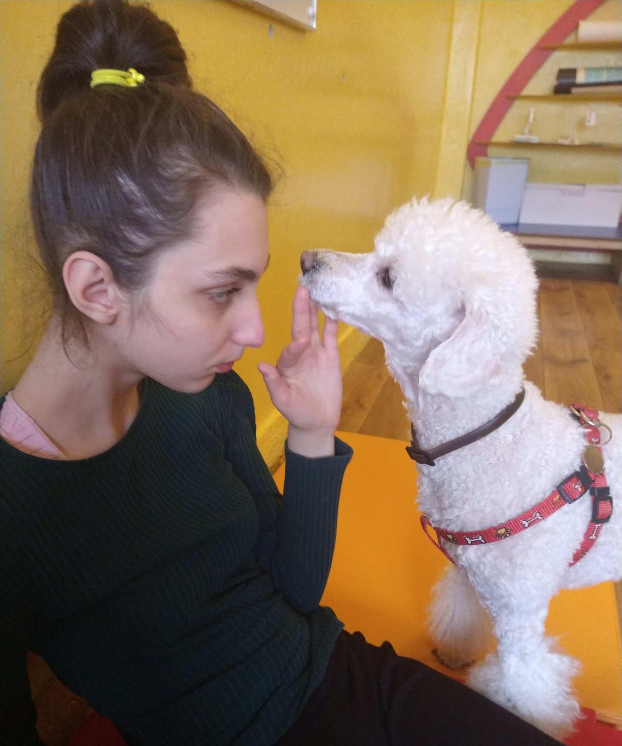 Dzień z życia… kiedy Google, przypadek i dobrzy ludzie ratują ząb Wiki